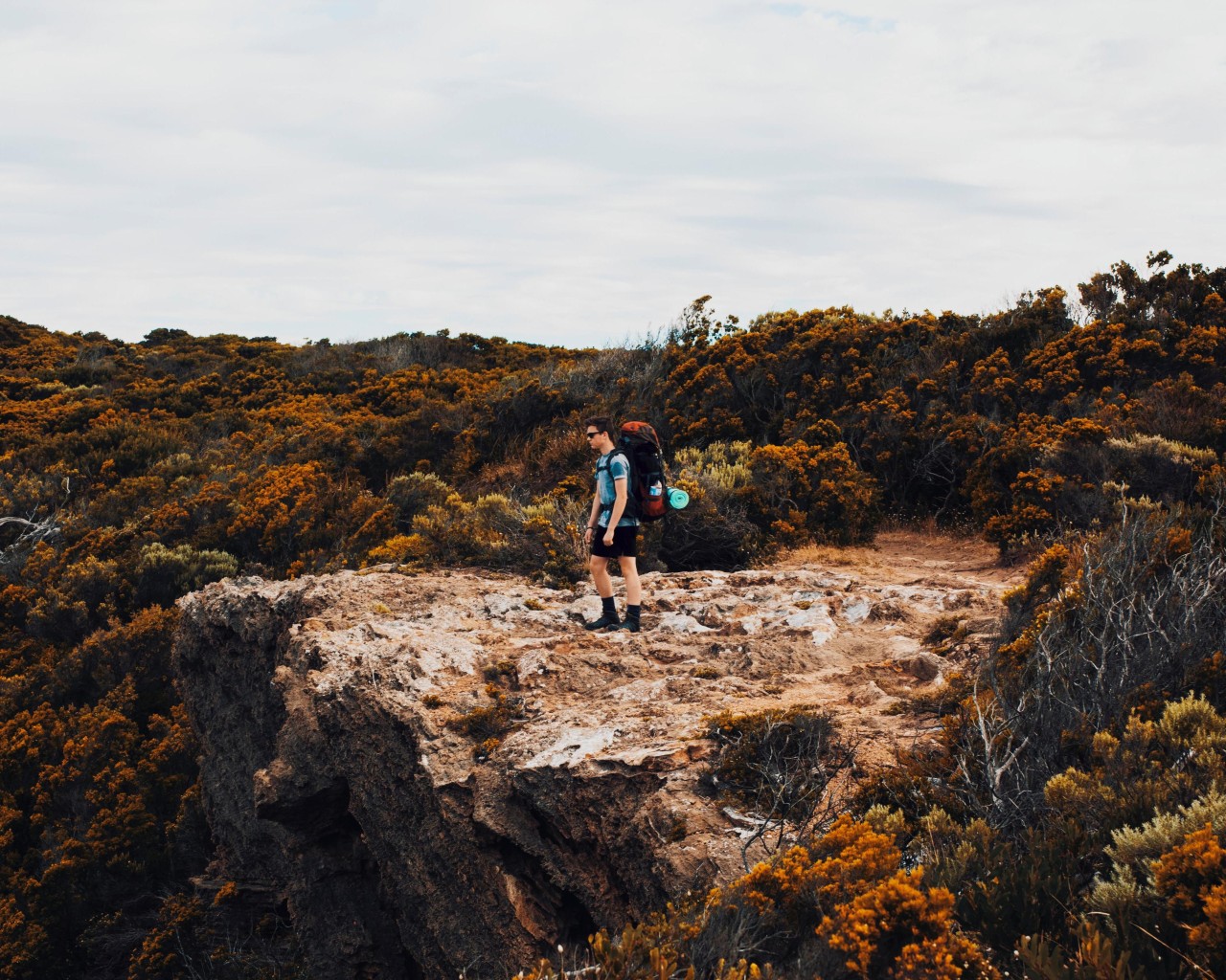 Apollo Bay, Australië