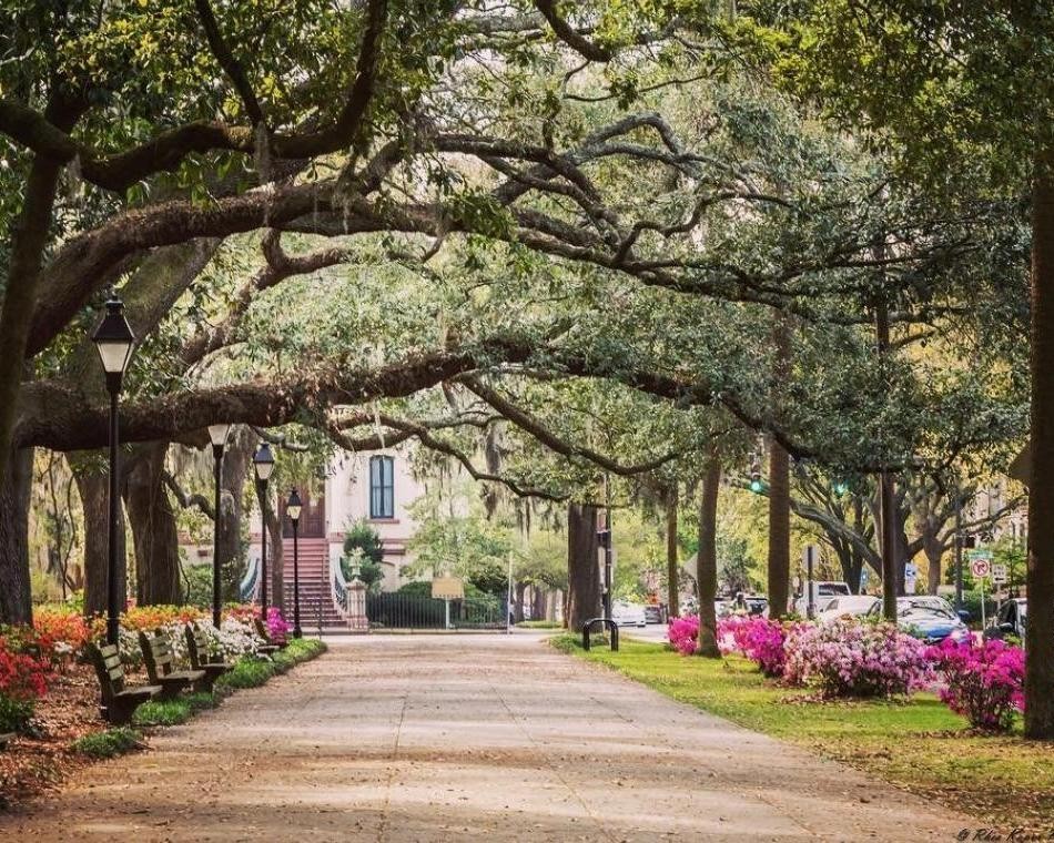 Savannah (Georgia), Verenigde Staten