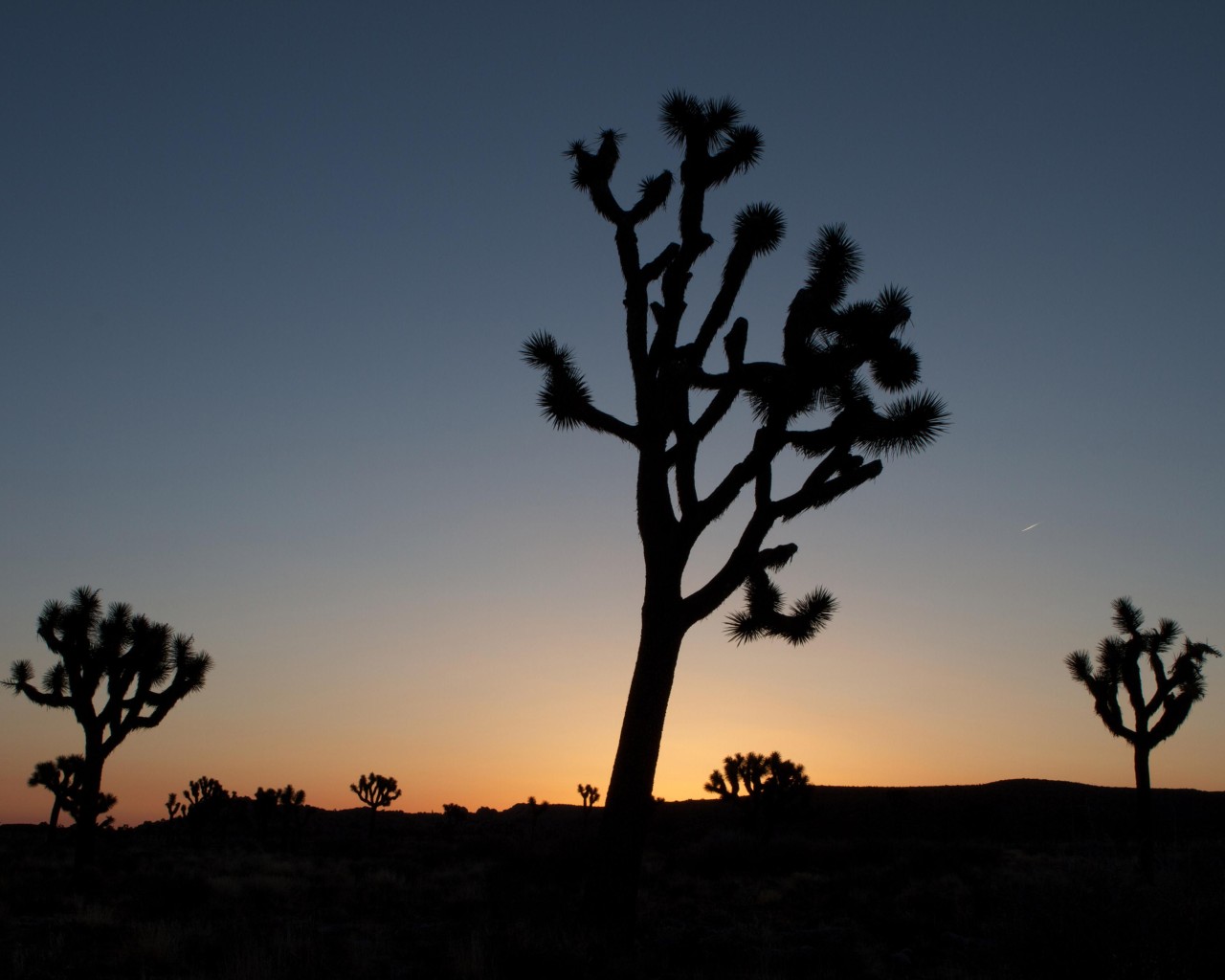 Palm Springs (California), Verenigde Staten