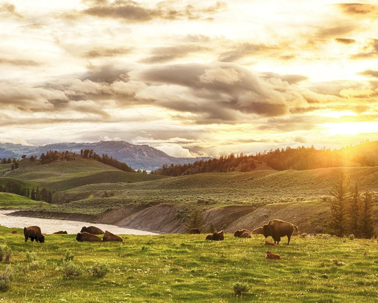 Yellowstone National Park, Verenigde Staten